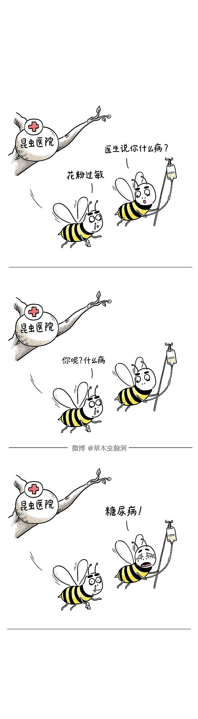 睡在上铺的兔子