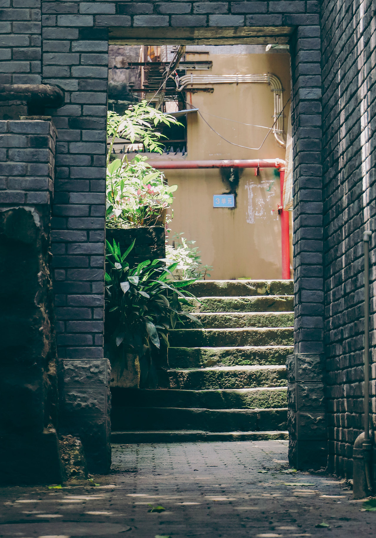 山城的风,旧巷的光