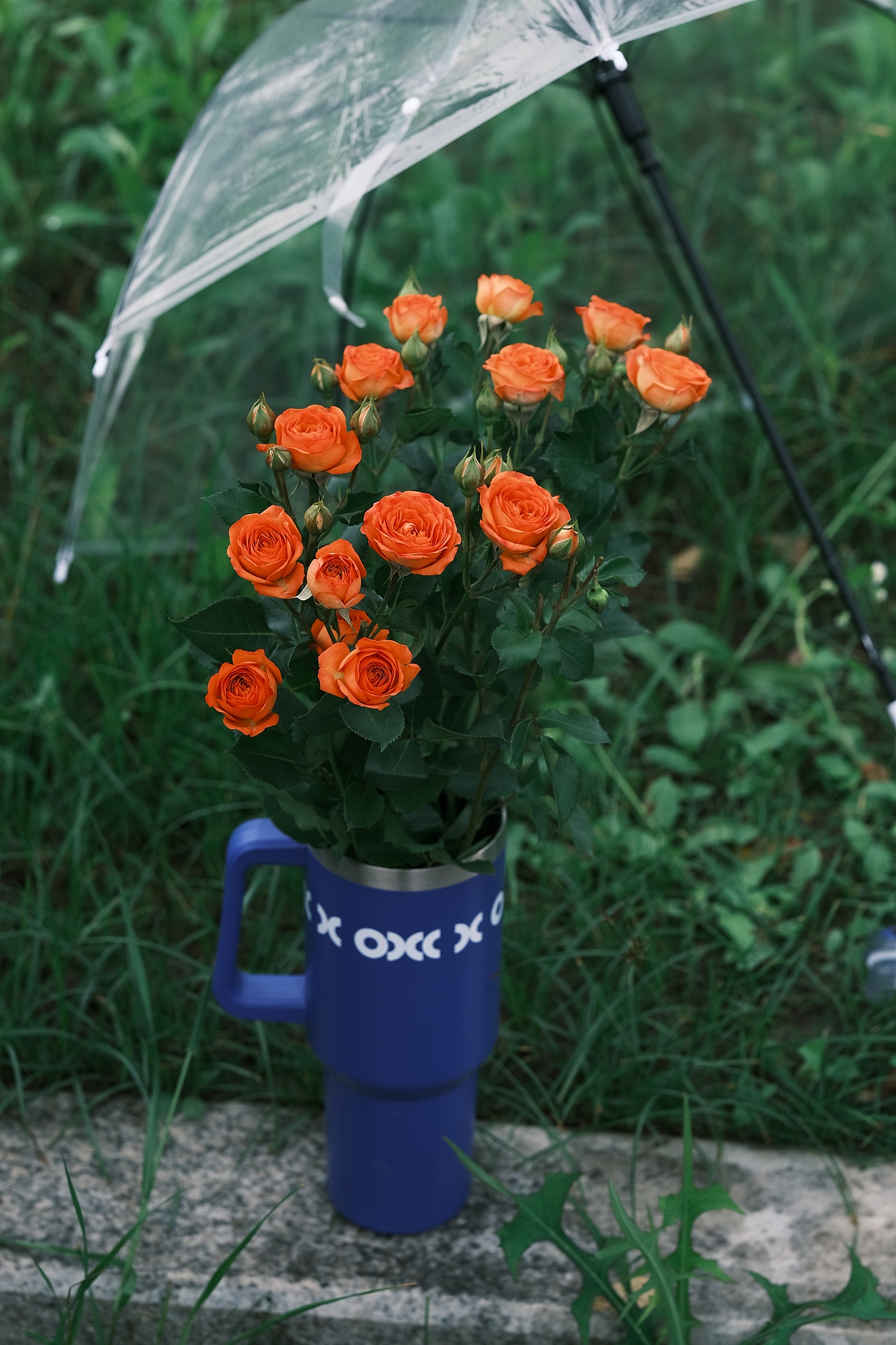 雨天氛圍感（圖ZMzY4NDk1NDU2） - 其他攝影 - 站酷設計師別人笑我太瘋顛啊原創(chuàng)素材 - 站酷ZCOOL