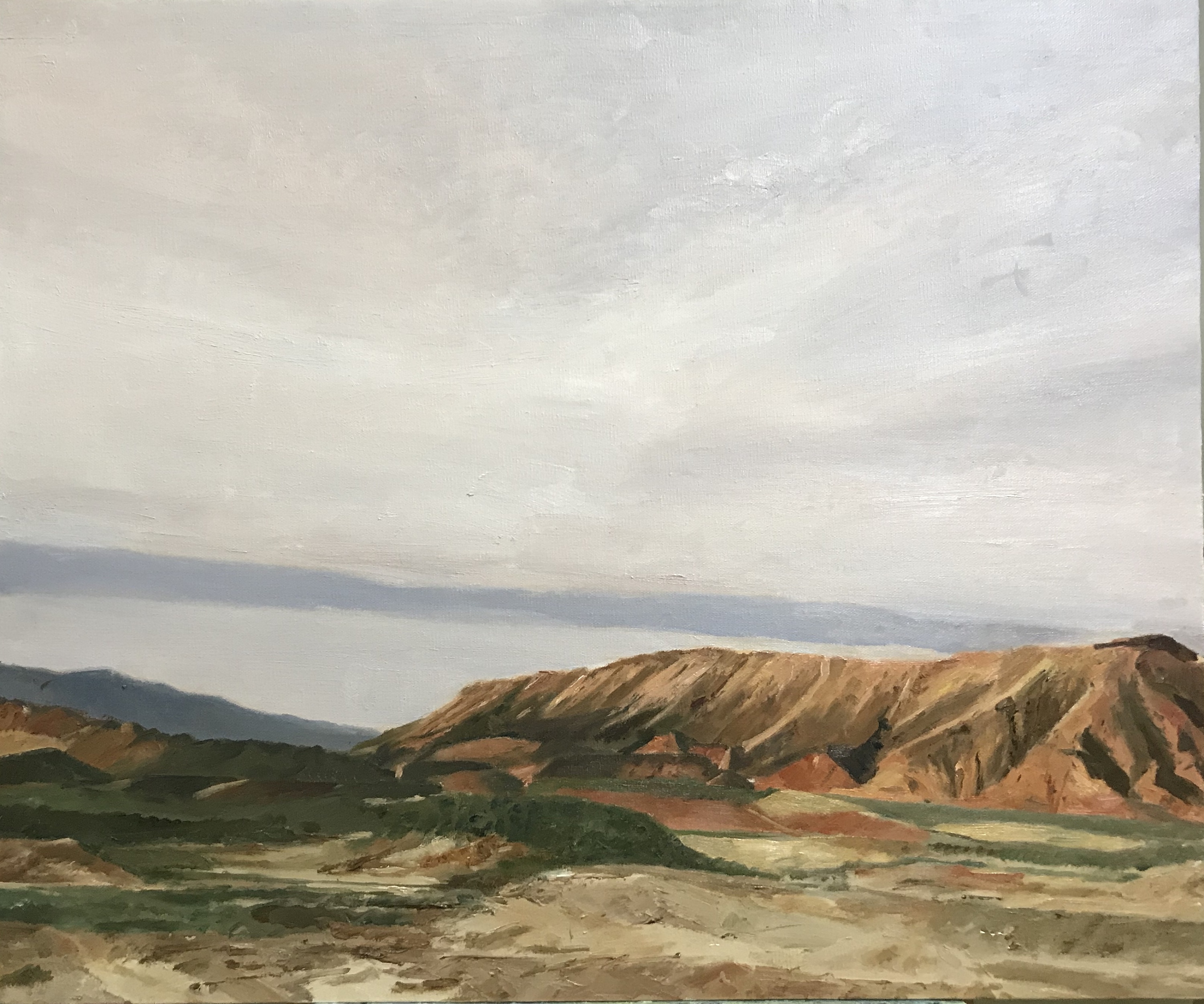 油画风景《西北》2
