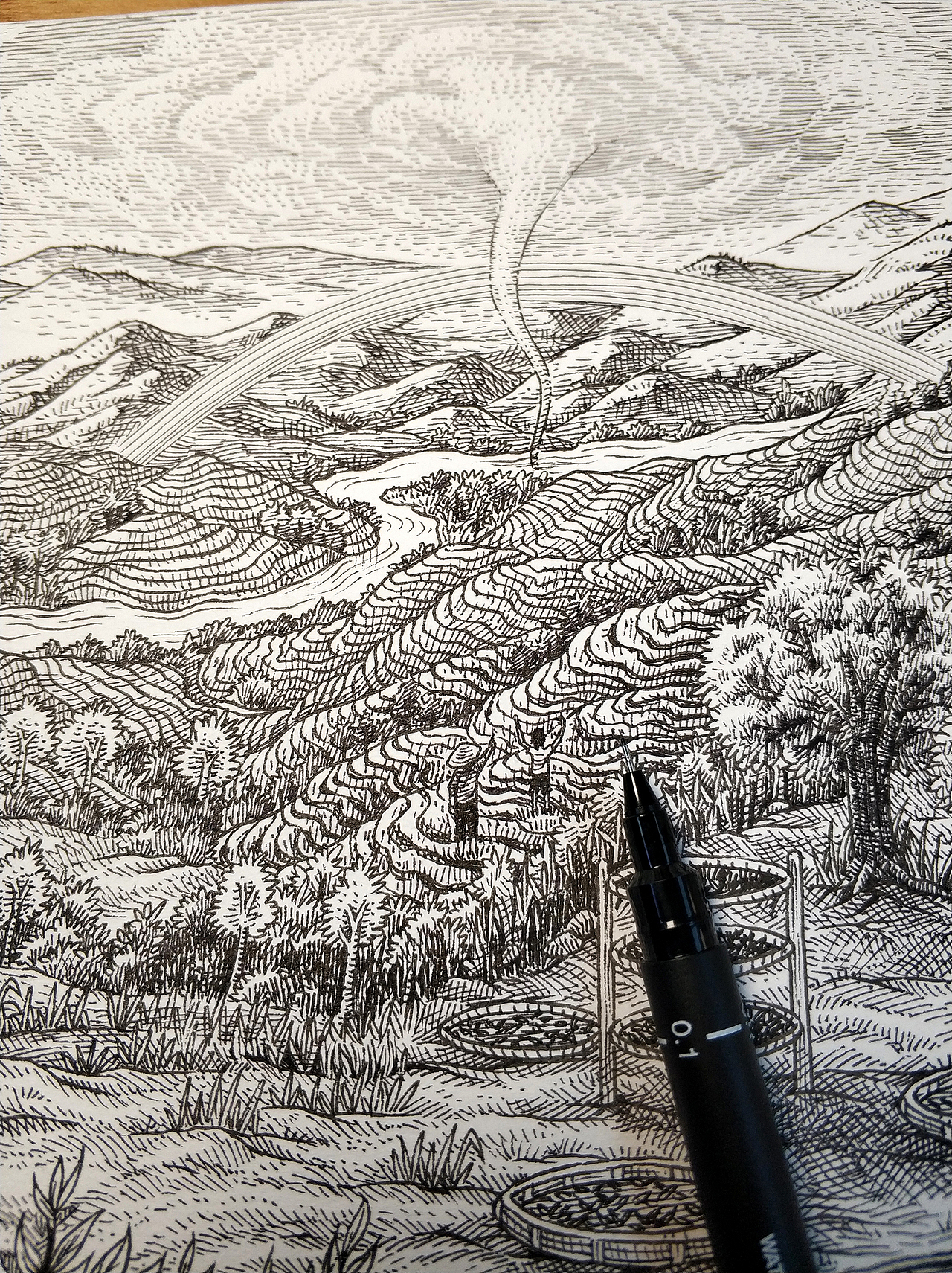 《七彩云南茶》手绘作品