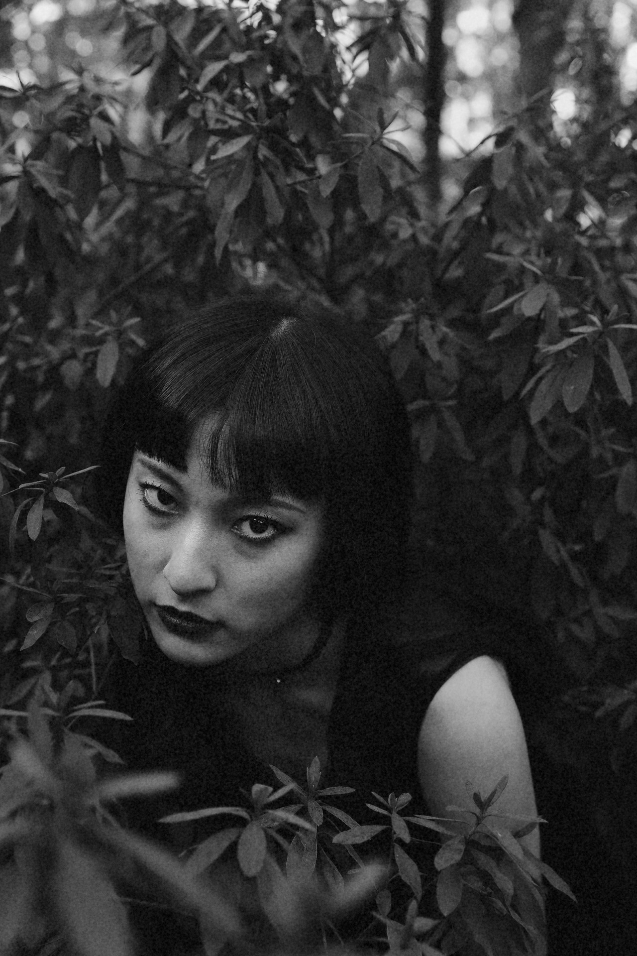 美成欲望,川上富江