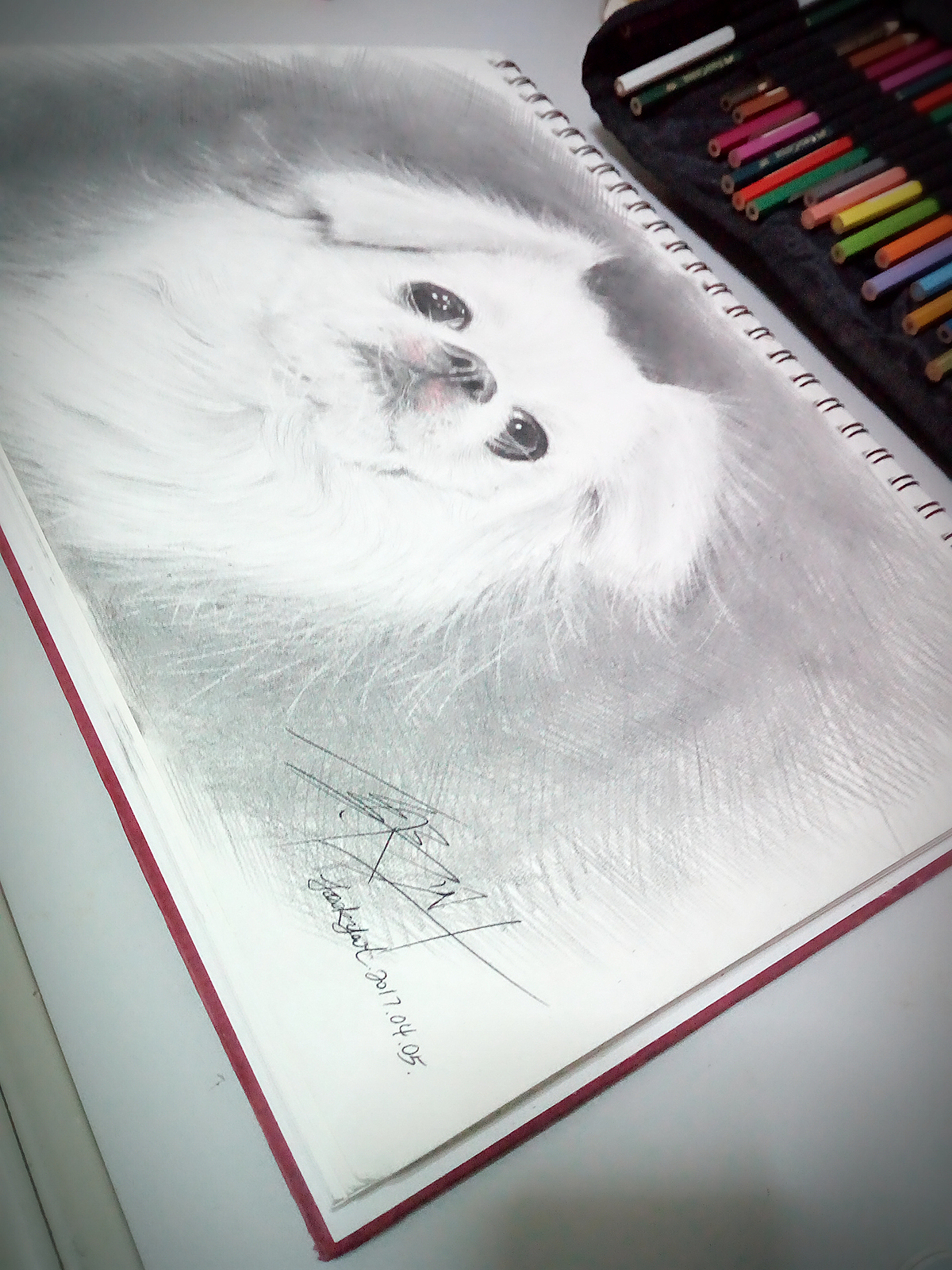 不知道是狮子狗还是京巴的狗狗一幅（图ZNzU2NjI4MDg=） - 绘画 - 站酷设计师a272813194原创素材 - 站酷ZCOOL