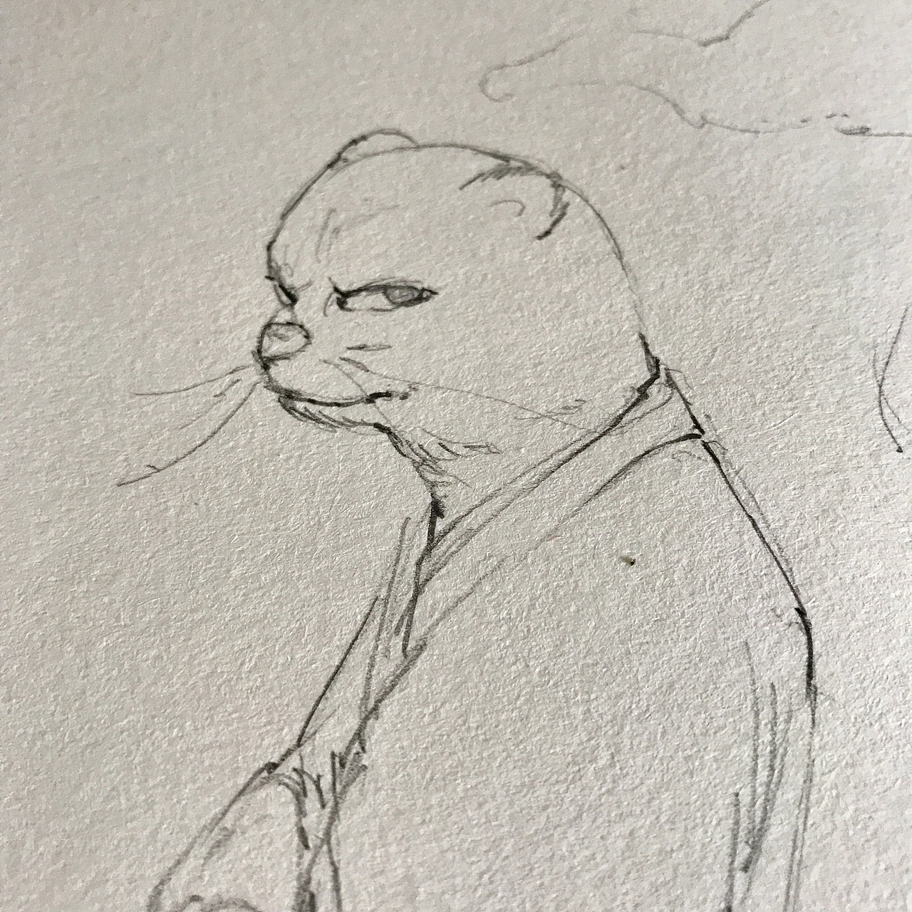 随便画吧。什么风格都来一点。（图ZMTY4NzIxMjY0） - 商业插画 - 站酷设计师千景绘studio原创素材 - 站酷ZCOOL