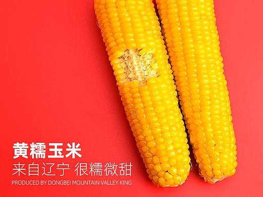 生鲜系列黄糯玉米尼康单反拍摄