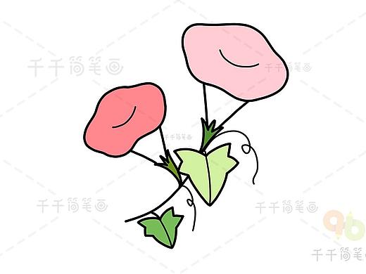 简笔画-牵牛花（个人主页-ZNDQxNTA5NTY=） - 儿童插画 - 站酷设计师抱只喵儿原创素材 - 站酷ZCOOL