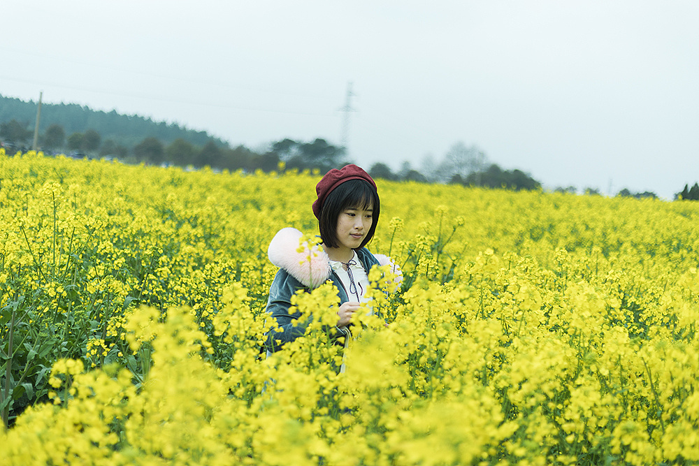 拥抱暖阳 欣然花开