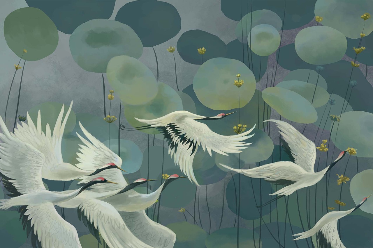 鹤 14天前 49 2 0 成都  |  ui设计师 原创  -  插画  -  插画习作