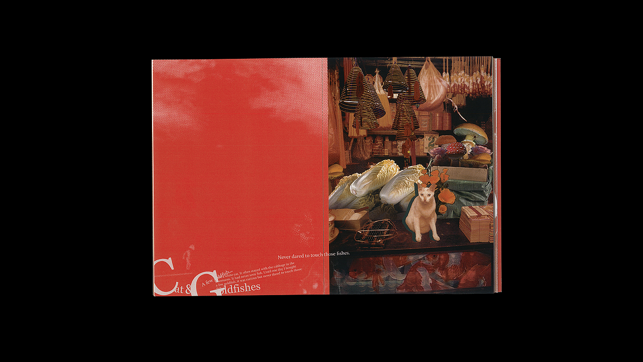 A Portrait of the Artist as a Young Man（图ZMjM4NjAyMzMy） - 书籍/画册 - 站酷设计师杭成成原创素材 - 站酷ZCOOL