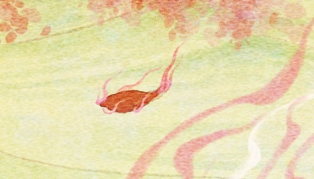 天之四灵(四象)-- 朱雀