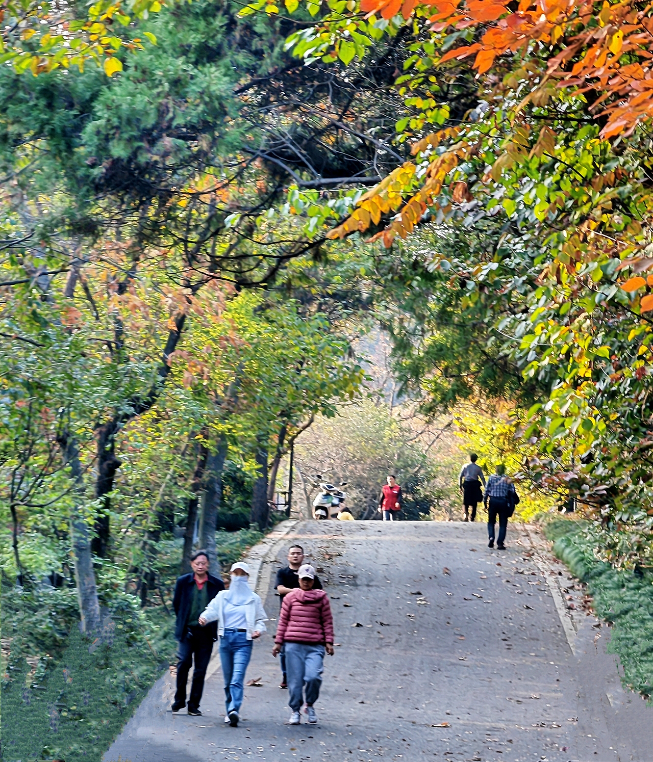 琅琊秋意正浓时（图ZMzgwODIwNTY4） - 风光摄影 - 站酷设计师透明的雨2025原创素材 - 站酷ZCOOL