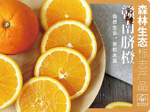 网站专题图