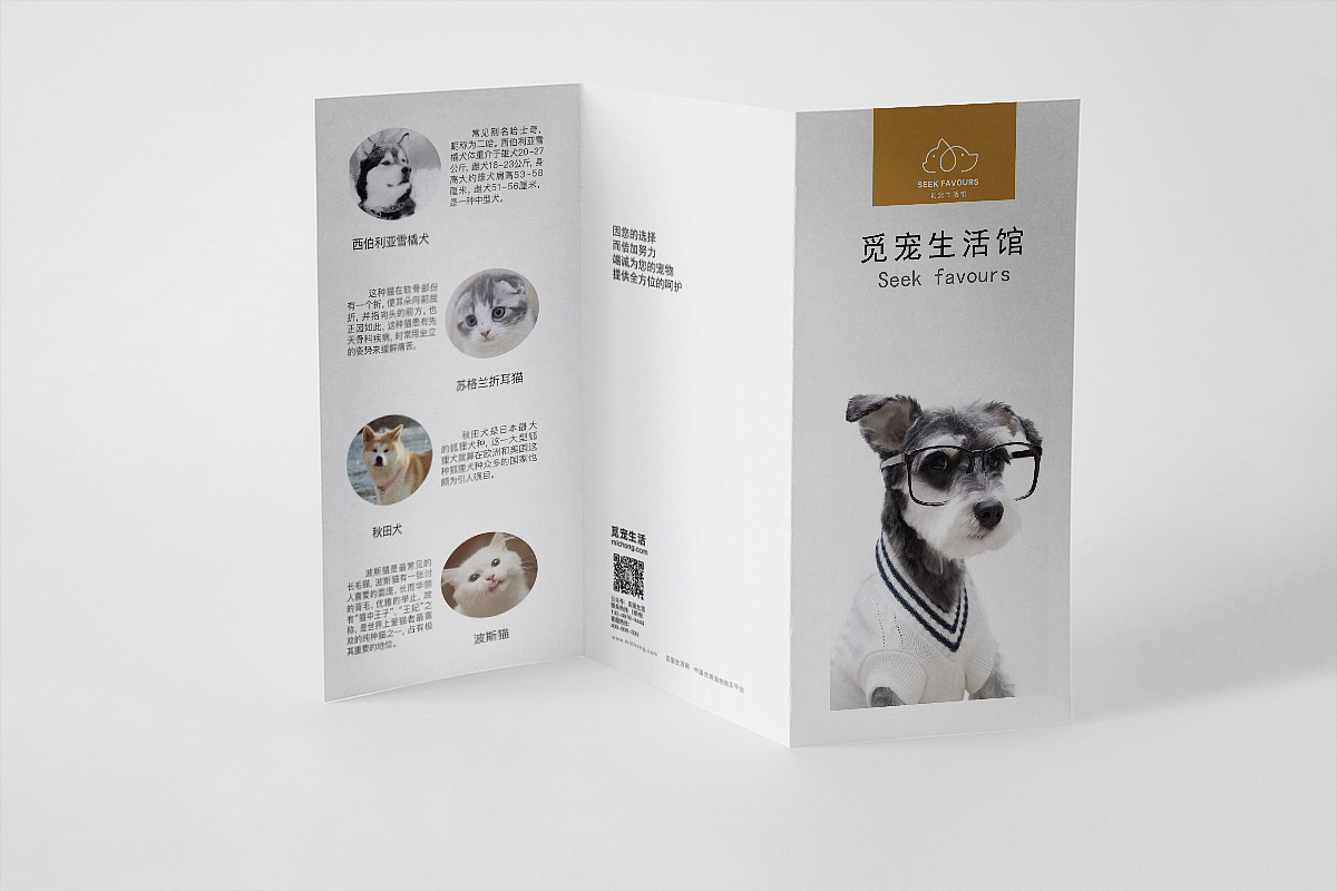 三折页（图ZMTQxNDkxMzc2） - 宣传物料 - 站酷设计师琉璃诺梦原创素材 - 站酷ZCOOL