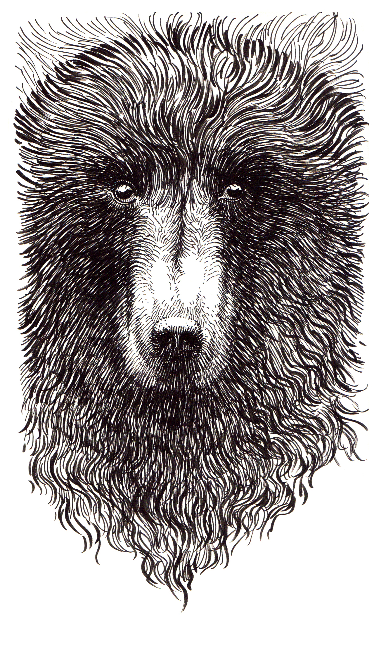 手绘动物小本本-部分