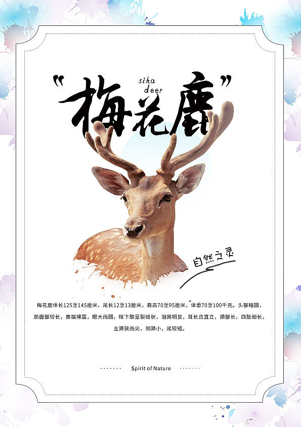 梅花鹿|平面|海报|不负如来不负卿卍_临摹作品-站酷zcool