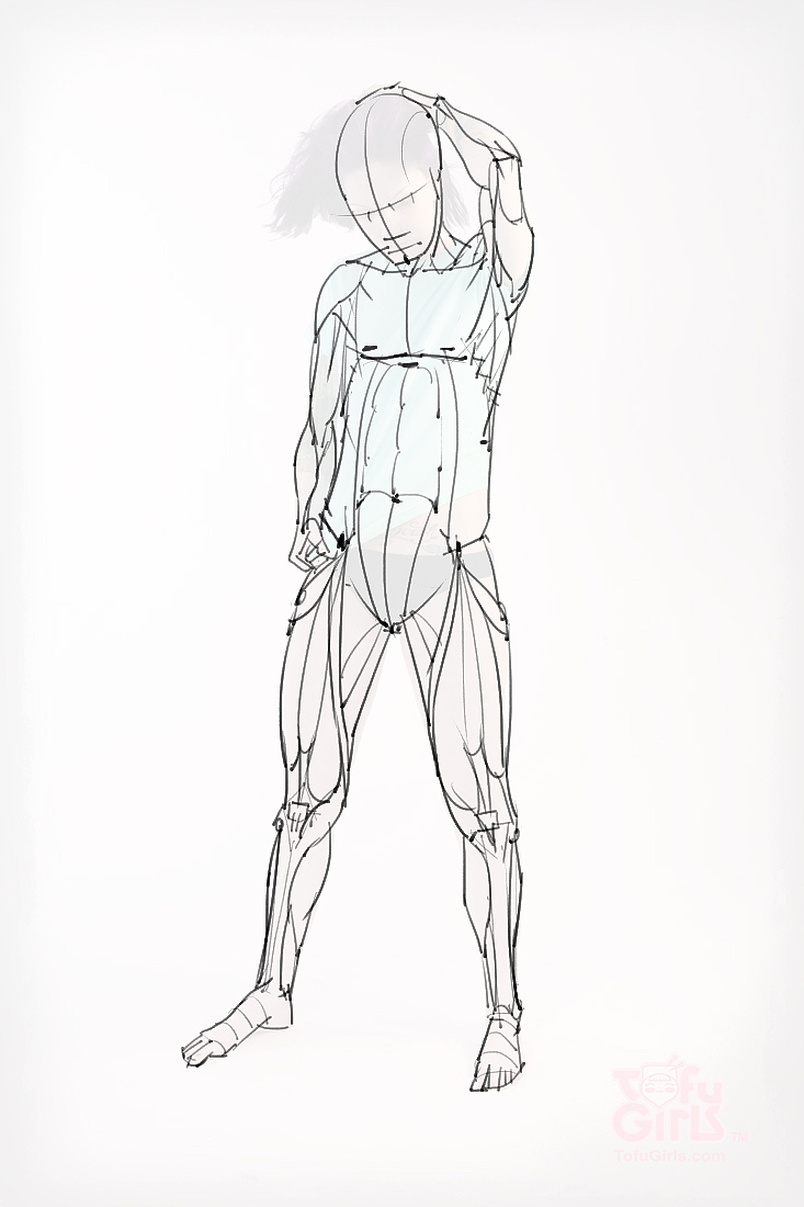 「素材」分享一波绘画专用人体解剖素材 part 09