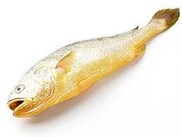 摄影