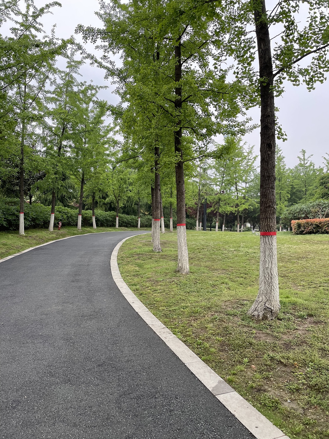 手机摄影——郑州中原福塔