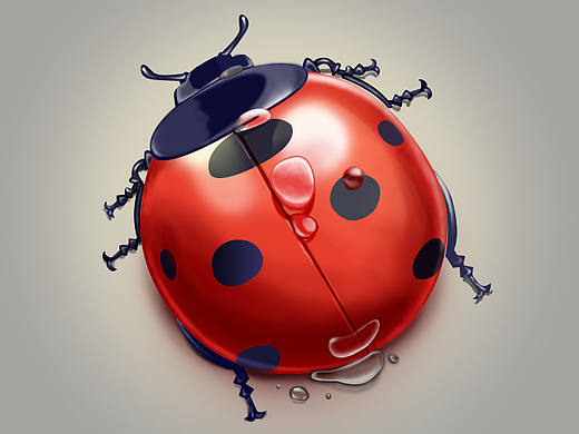 昆蟲-寫實(shí)類icon（個(gè)人主頁-ZMjQwODY3MDQ=） - 圖標(biāo) - 站酷設(shè)計(jì)師劉洪慶原創(chuàng)素材 - 站酷ZCOOL