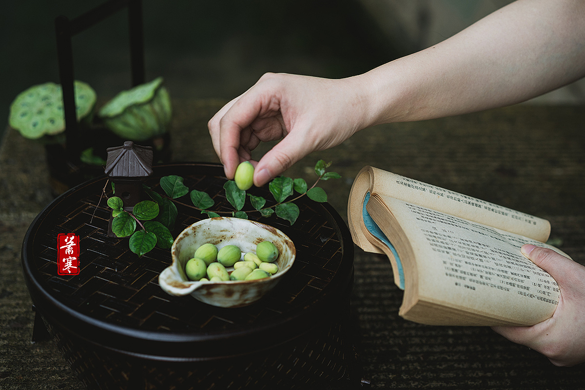 国风静物摄影 | 溪头卧剥莲蓬|摄影|美食摄影|萧寒jevil - 原创作品