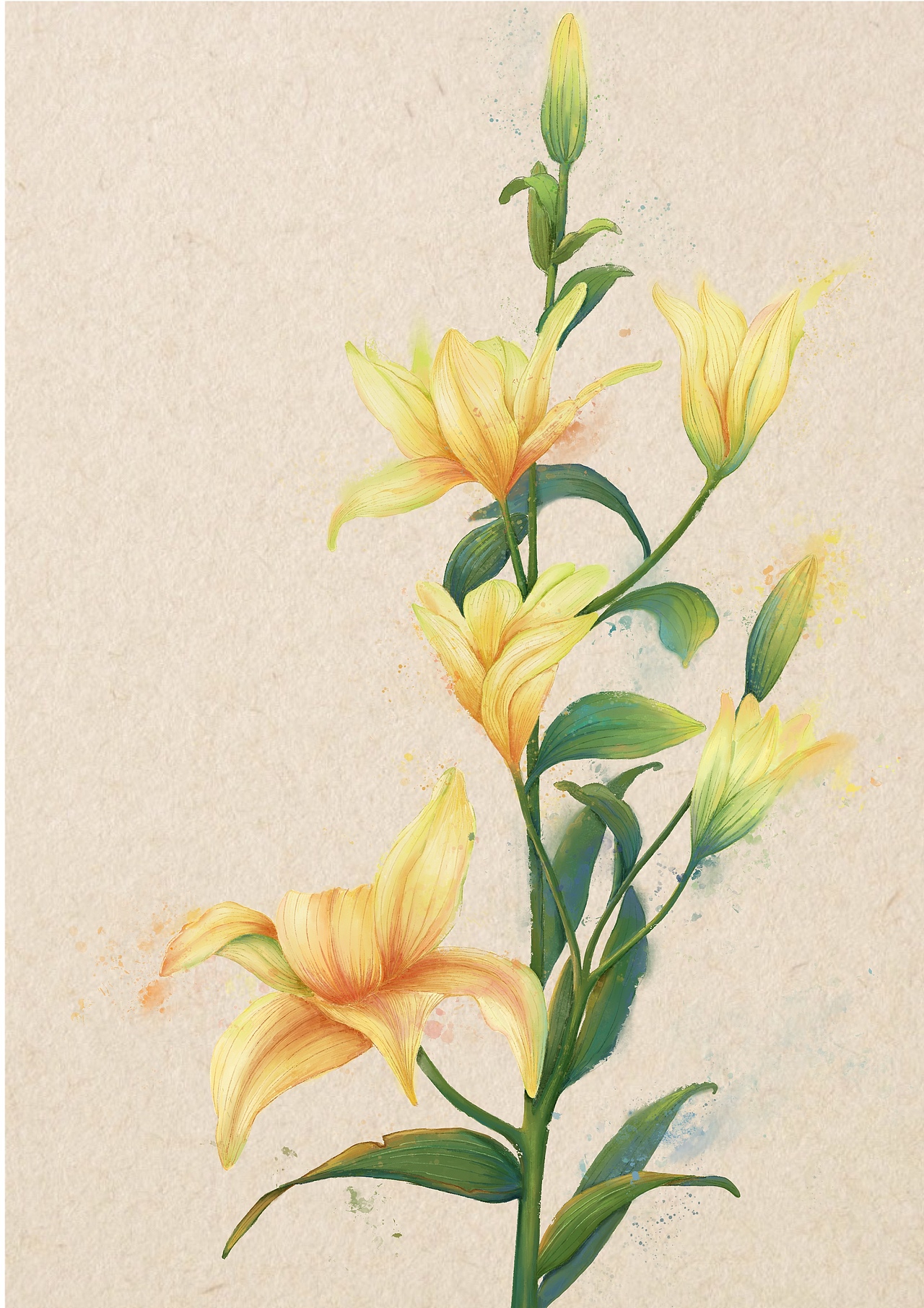 百合（图ZMzQxMTMzNTA4） - 商业插画 - 站酷设计师六加皮原创素材 - 站酷ZCOOL