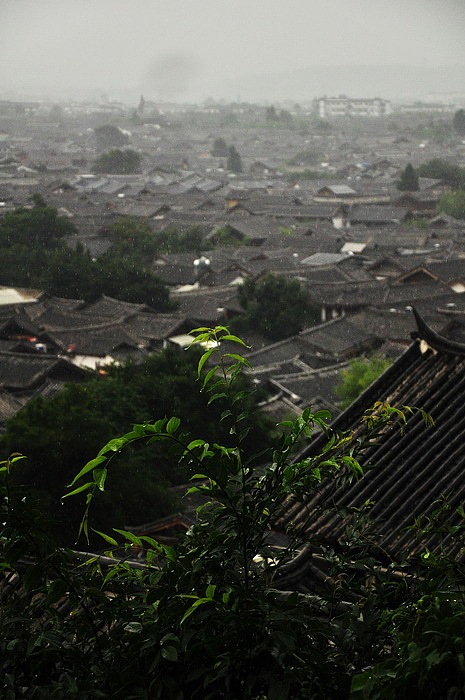 彩雲之南《肆》——麗江古城