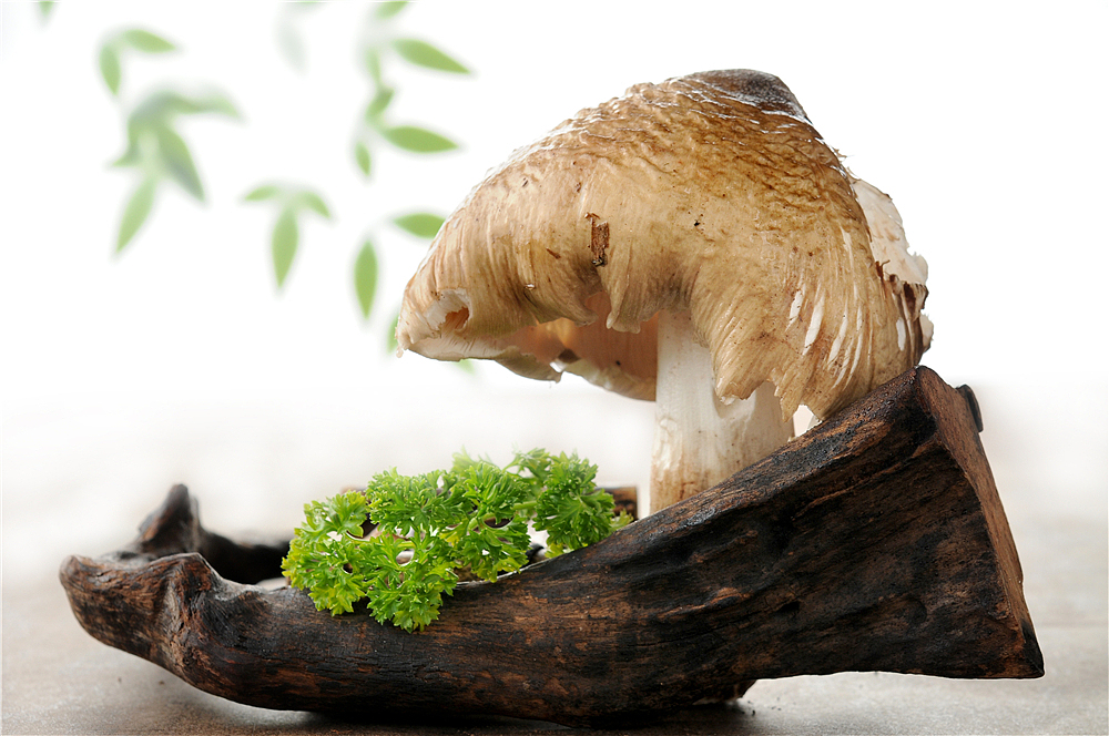 火锅菜品摄影图片,火锅美食图片分享,专业菜品摄影公司