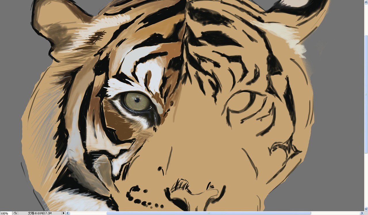Tiger(图ZMTEyOTIwNzI=) - 创作习作 - 站酷设计师SW伯爵原创素材 - 站酷ZCOOL