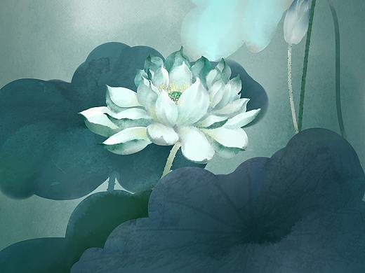 莲花