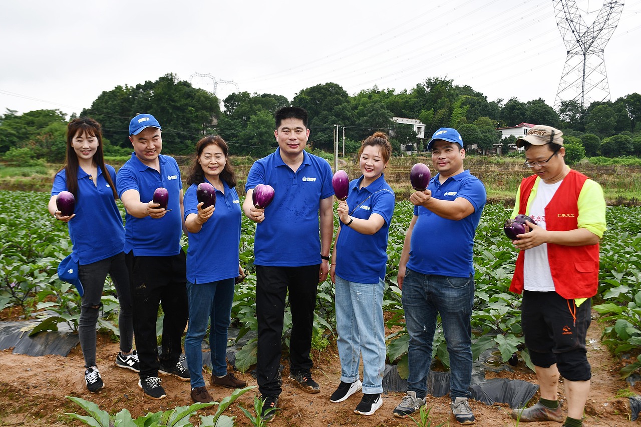 陈老汉出品 | 黄篮子生鲜连锁品牌VI视觉体系制造