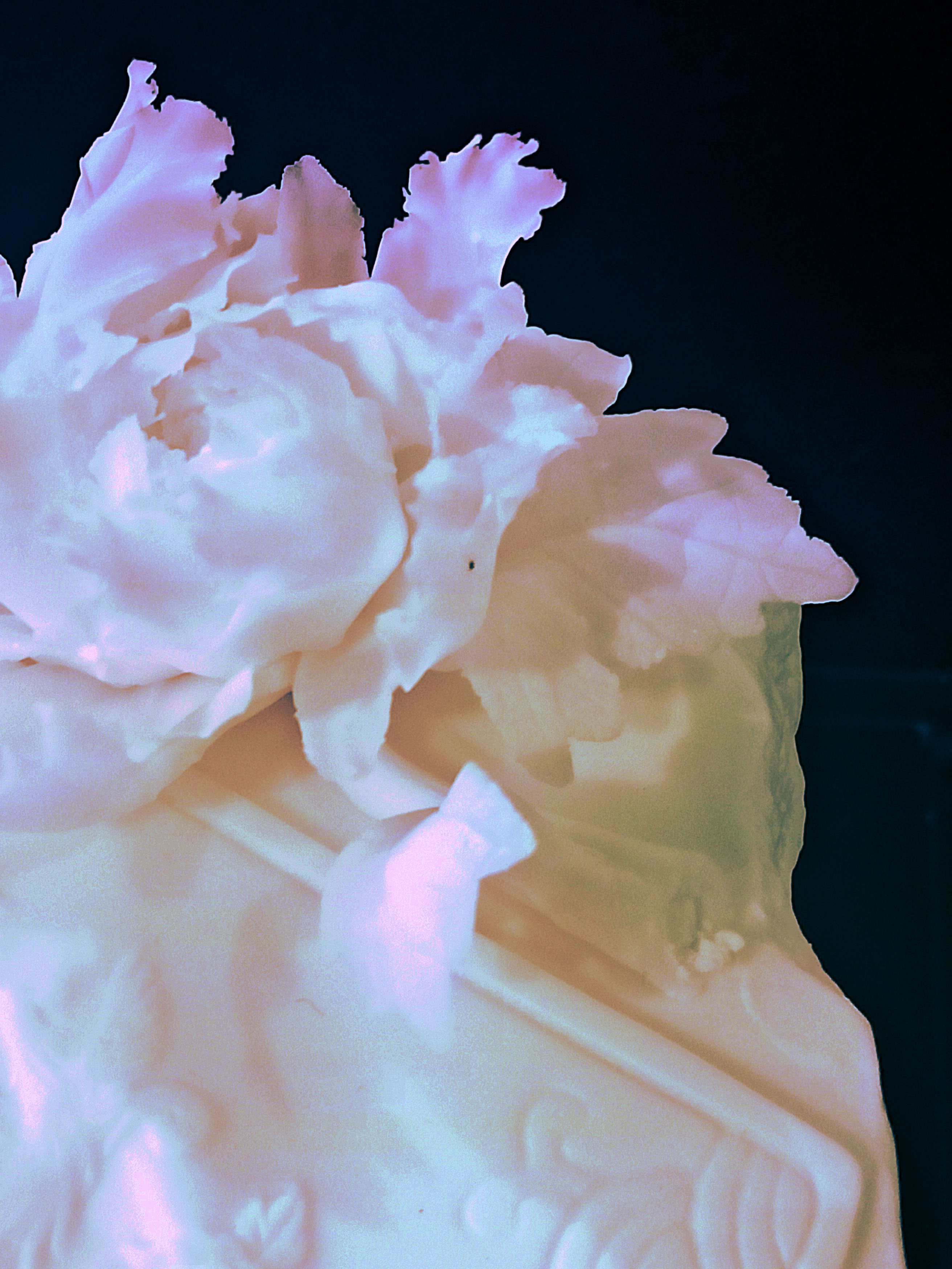 金美罗的个人主页（封面预览） - 主页封面设置 - 站酷设计师金美罗原创素材 - 站酷ZCOOL