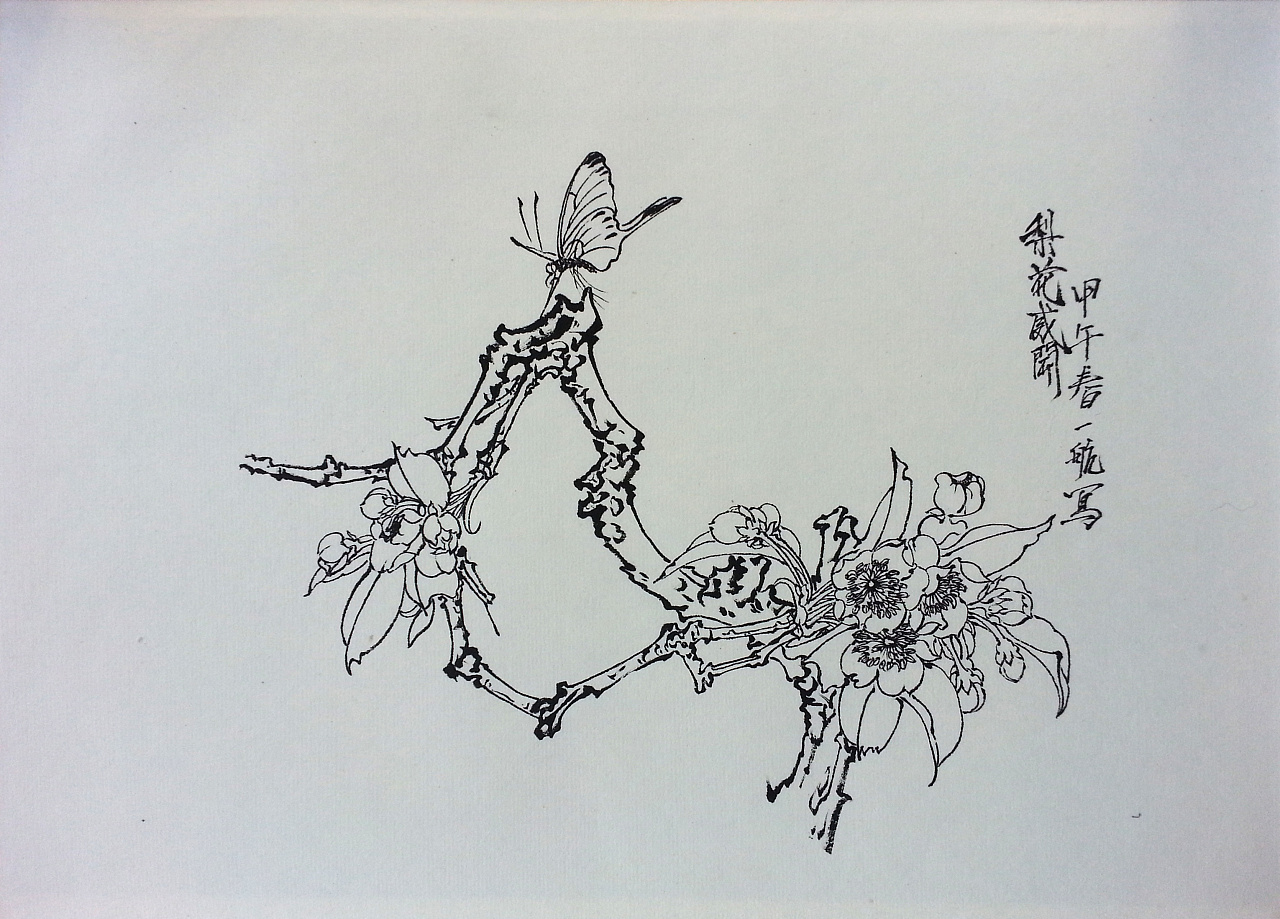 中国花鸟画-工笔白描