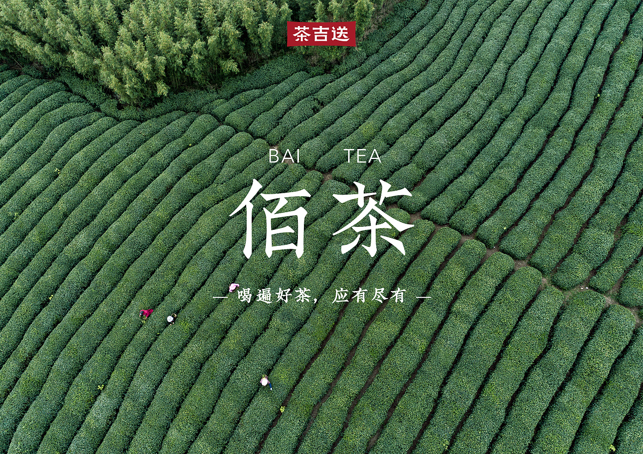 “喝茶地图”之《佰茶》系列---喝遍好茶，应有尽有（图ZMjY2ODg5OTg0） - 包装 - 站酷设计师OCT设计原创素材 - 站酷ZCOOL