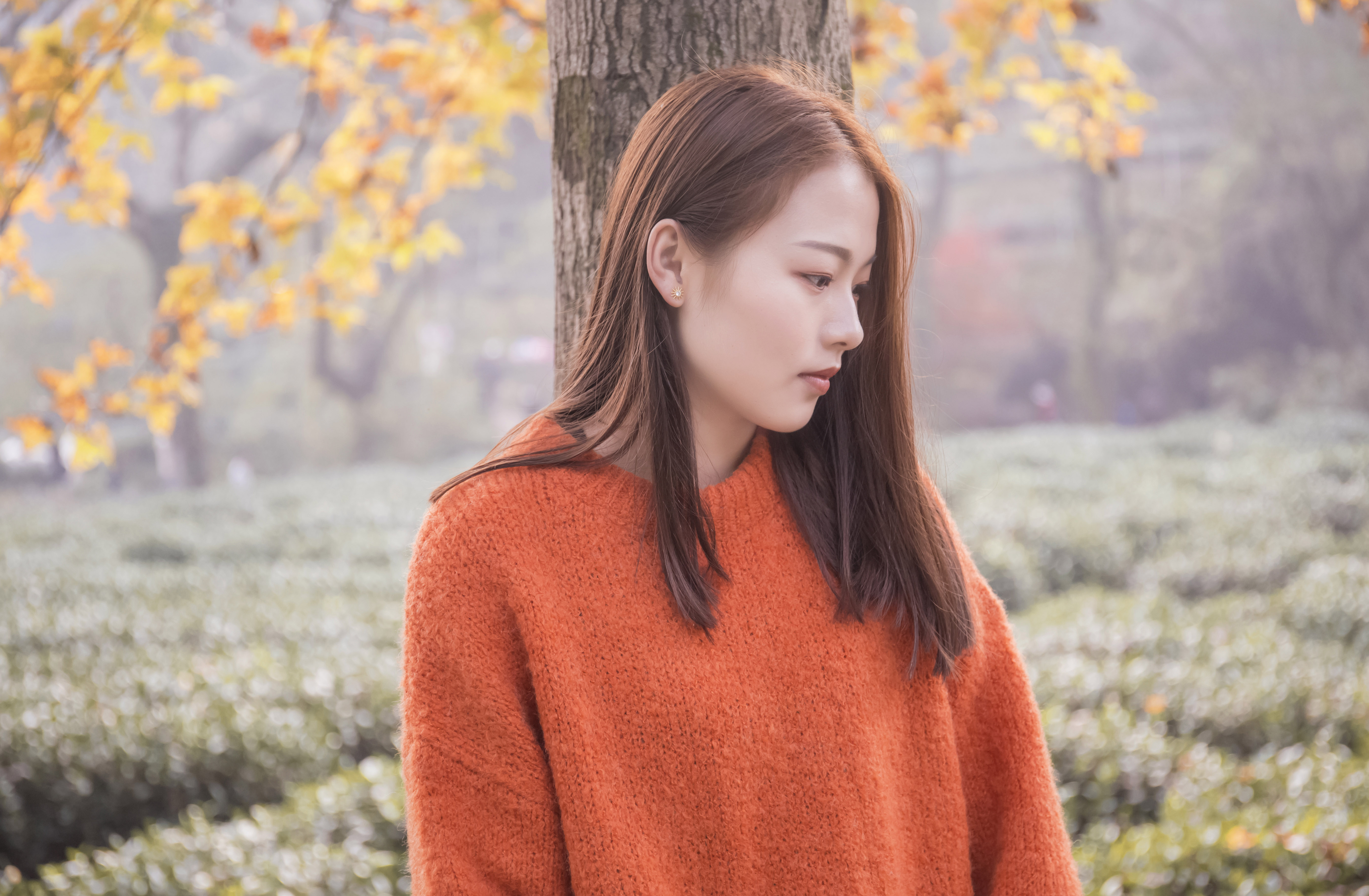 周一五点的个人主页（封面预览） - 主页封面设置 - 站酷设计师周一五点原创素材 - 站酷ZCOOL