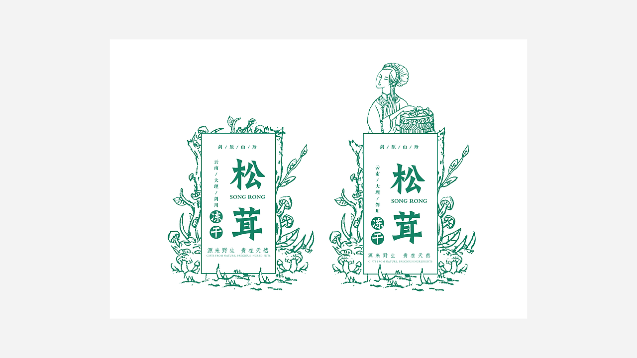 菌包装—云南土特产