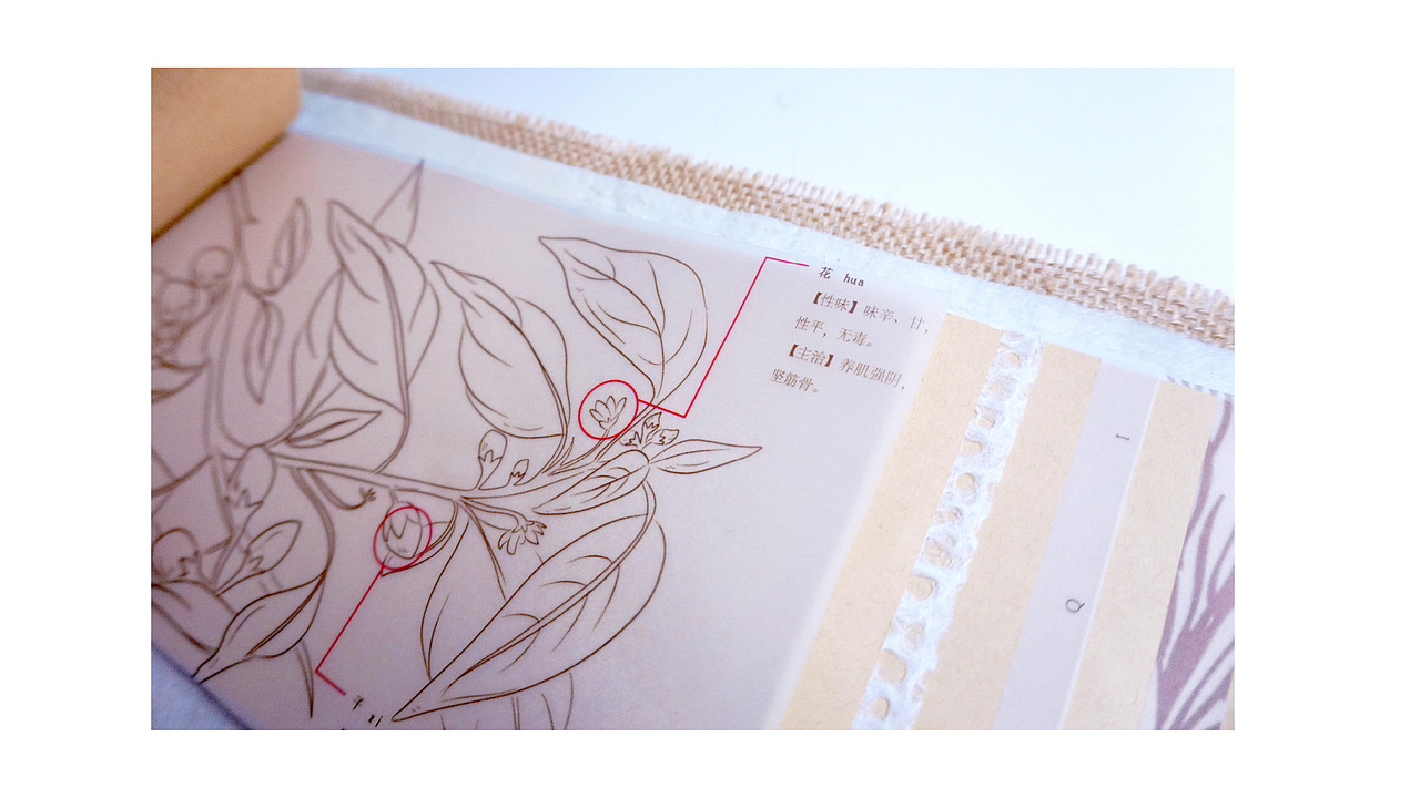 华南师范大学美术学院18视传书籍设计课程作业选