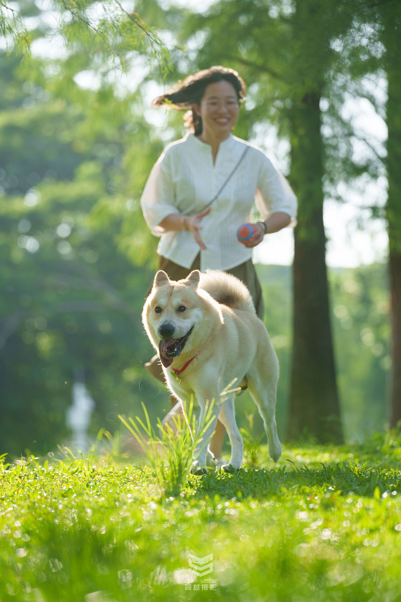 狗狗夏日戶外拍攝（圖ZMzQzMDIwMDYw） - 寵物攝影 - 站酷設(shè)計(jì)師小樣攝影原創(chuàng)素材 - 站酷ZCOOL