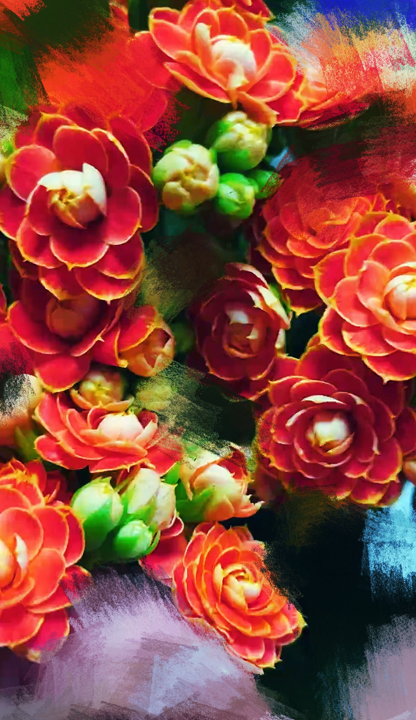 刘勇良画意摄影:那些盛开的花朵