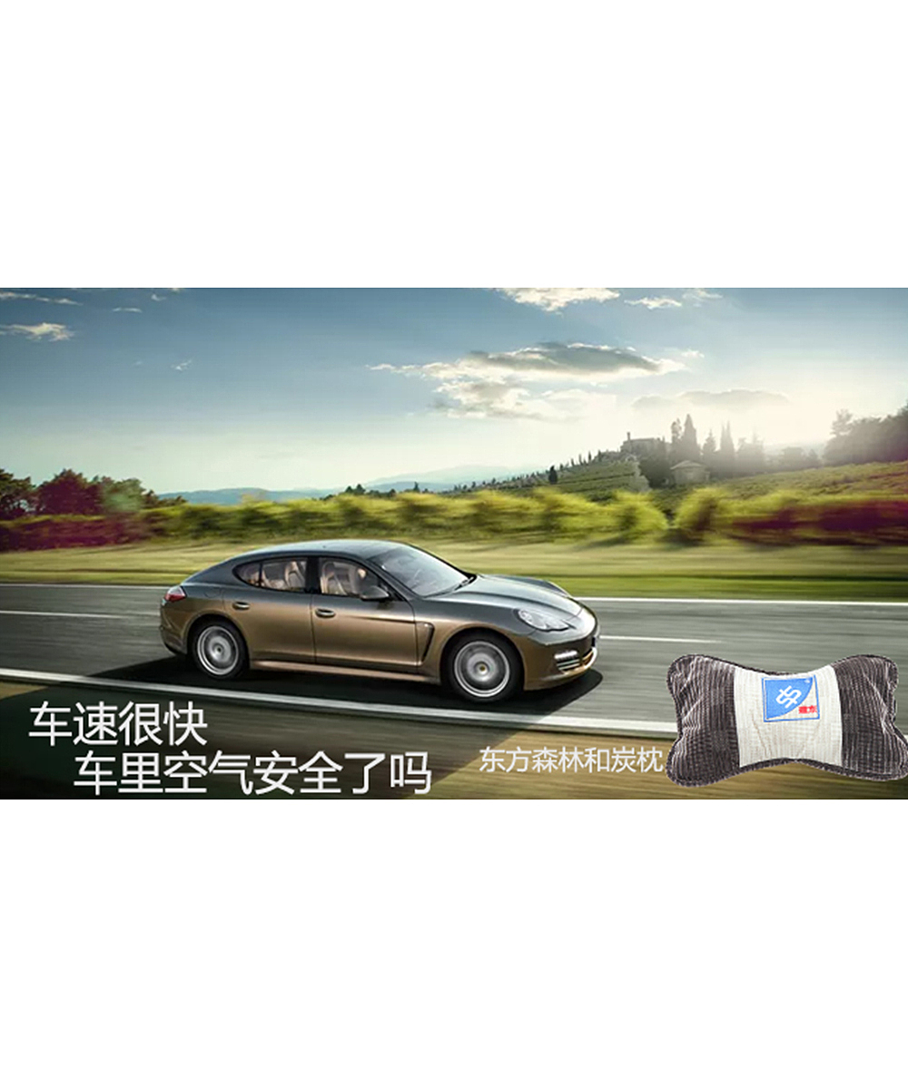 东方森林和炭枕（图ZOTE1Nzk0Mjg=） - 生活用品 - 站酷设计师平凡又压抑又无奈原创素材 - 站酷ZCOOL