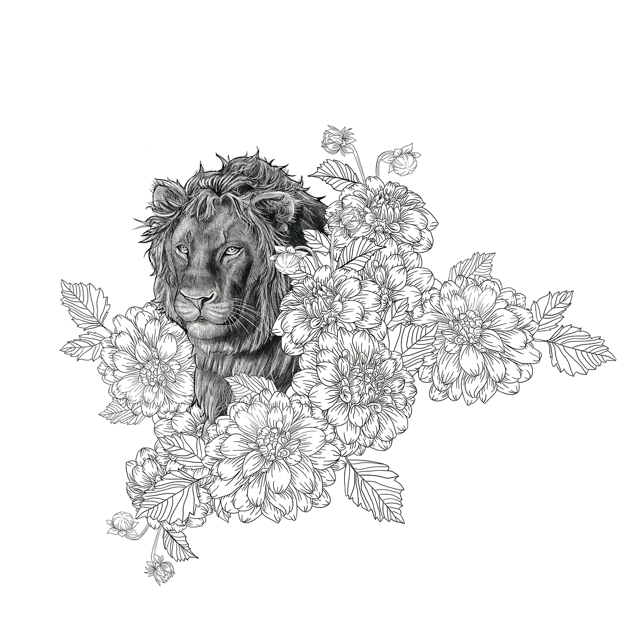 豹子狮子插画（图ZMTc5MTAwNzUy） - 商业插画 - 站酷设计师路Alita原创素材 - 站酷ZCOOL
