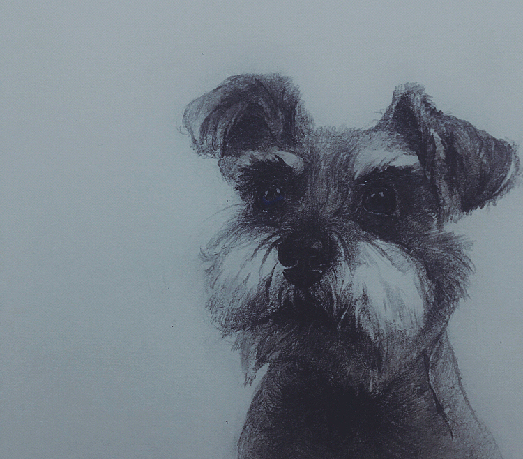 小习作（图ZMTQ0MDQxNzcy） - 创作习作 - 站酷设计师括弧原创素材 - 站酷ZCOOL