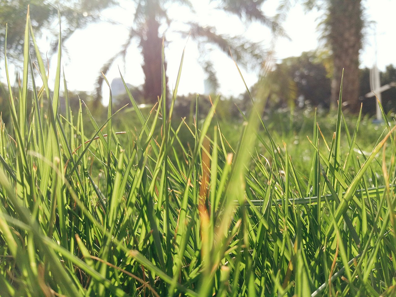 瞎拍瞎排的小美好