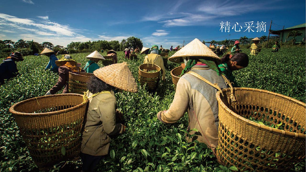 1821期学生个人作品展示07