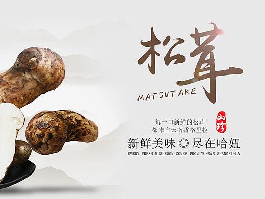 松茸海报