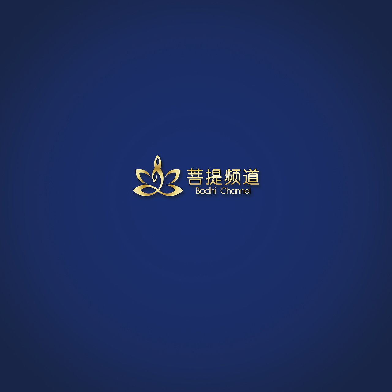《频道策划与包装》包装手册（图ZMTI0MjA0NDM2） - 书籍/画册 - 站酷设计师Xwhere原创素材 - 站酷ZCOOL