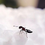 神明不度人间的头像
