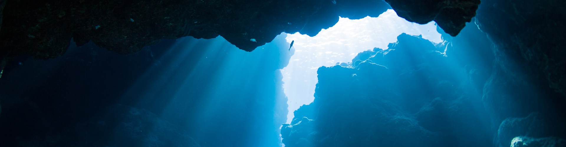 Aslan_犀儿的个人主页（封面预览） - 主页封面设置 - 站酷设计师Aslan_犀儿原创素材 - 站酷ZCOOL