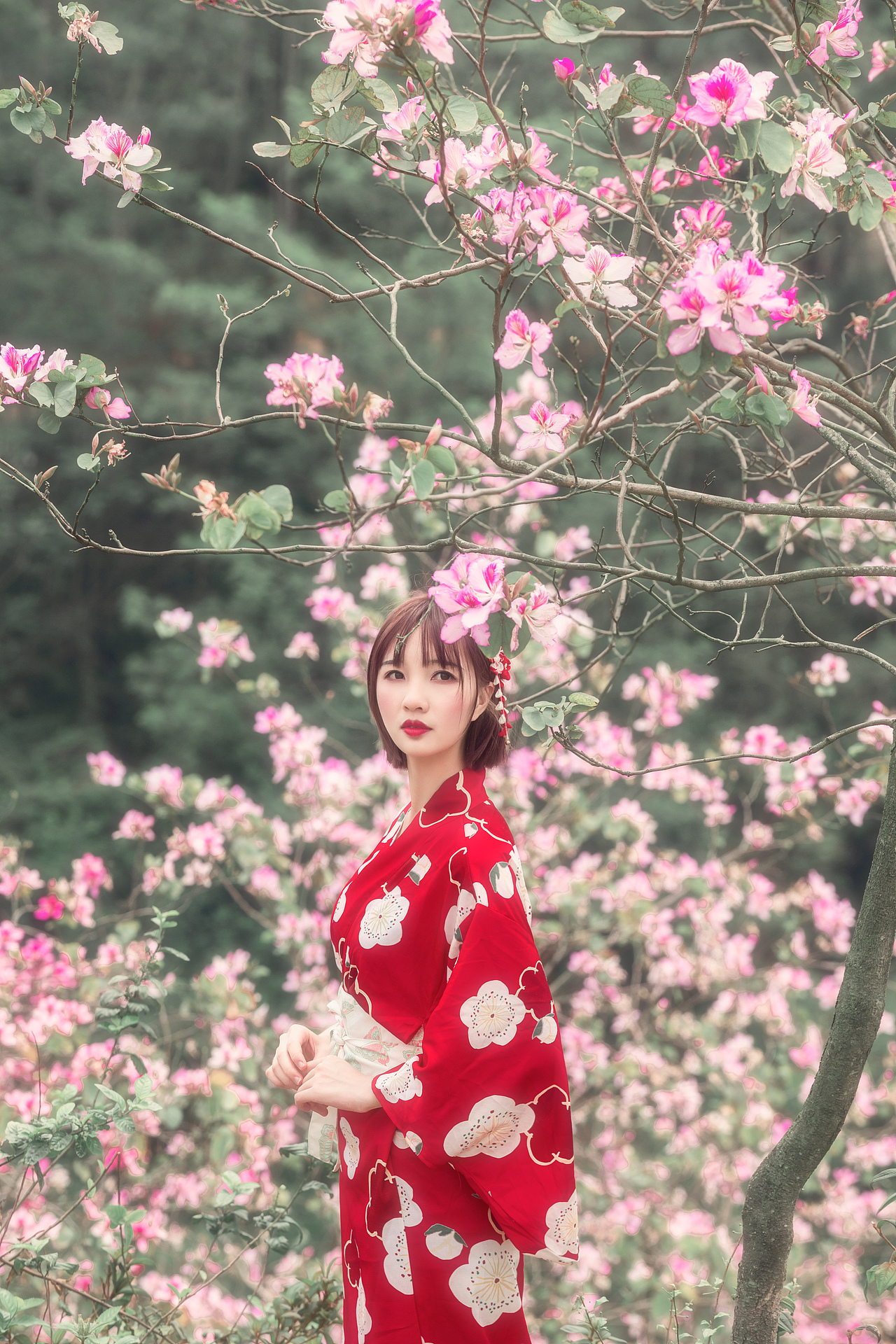 唯美柔和紫荆花人像