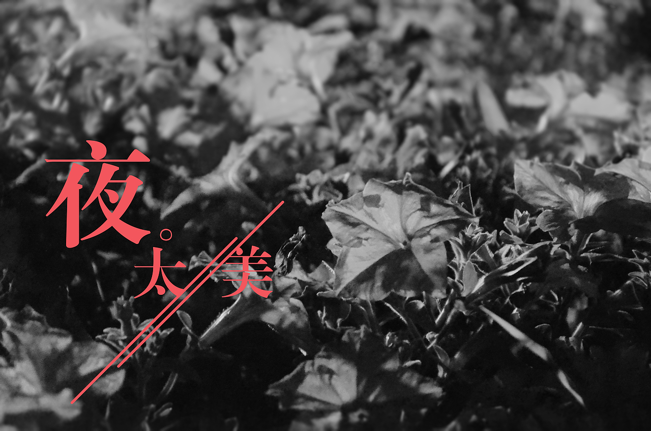 夜景（图ZMjE5MjkwNzI=） - 风光摄影 - 站酷设计师EYEBROWSTUDS原创素材 - 站酷ZCOOL