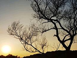 手机拍摄家乡景色